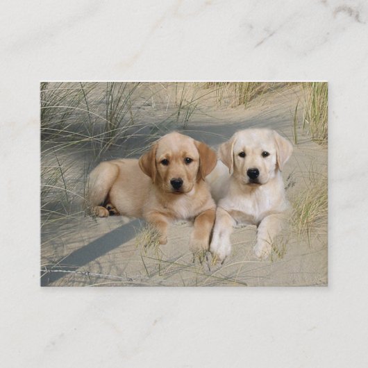 Visitekaartje voor de fokker van labrador Retrieve (Voorkant)