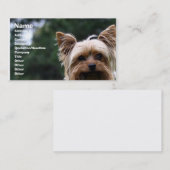 Visitekaartje voor kinderverzorging (Voorkant / Achterkant)