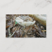Visitekaartje Witte paddenstoel Coördinerende item (Achterkant)
