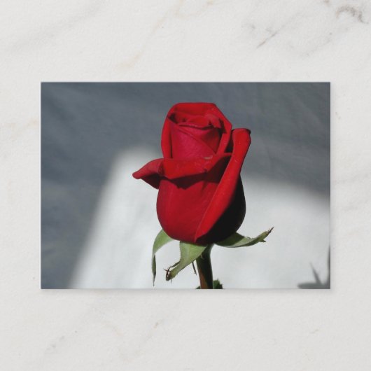 Visitekaartjes (Voorkant)