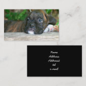 Visitekaartjes met een meerpuppy (Voorkant / Achterkant)