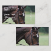 Visitekaartjes van Arabische paarden (Voorkant / Achterkant)