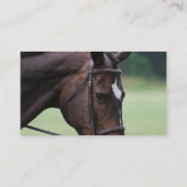 Visitekaartjes van Arabische paarden (Achterkant)