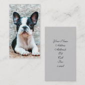 Visitekaartjes van Bulldog (Voorkant / Achterkant)