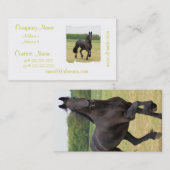 Visitekaartjes van Friesian Horse (Voorkant / Achterkant)