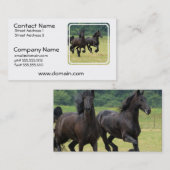 Visitekaartjes van Friesian Horses (Voorkant / Achterkant)