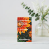 Visitekaartjes van Gazania (Staand voorkant)