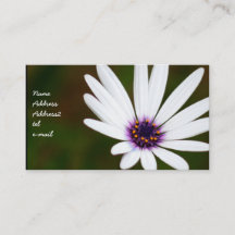 Visitekaartjes van White Daisy
