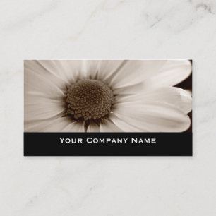 Visitekaartjes van witte chrysanthemum sepia