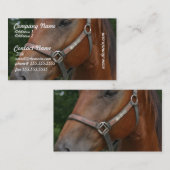 Visitekaartjes van zoete kastanjepaarden (Voorkant / Achterkant)