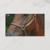 Visitekaartjes van zoete kastanjepaarden (Achterkant)