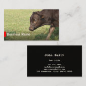 Visitekaartjes voor de Rundveeteelt (Voorkant / Achterkant)