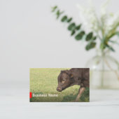 Visitekaartjes voor de Rundveeteelt (Staand voorkant)