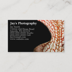 Visitekaartjes voor fotografie