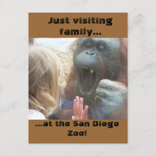 Visiter la famille à la carte postale San Diego Zo