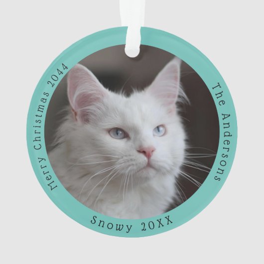 Visites de chats blancs amusants Père Noël Photo p (dos)