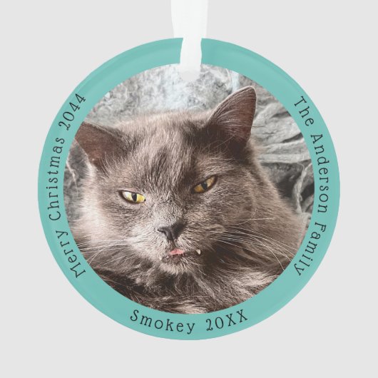 Visites de chats gris amusant Père Noël Custom Chr (dos)