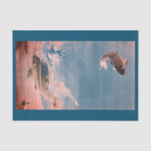 VISJUMPING IN WATERweefsel