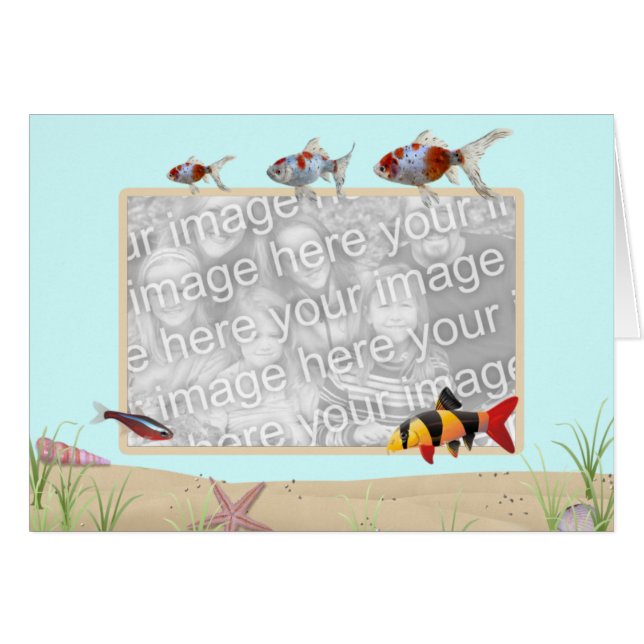 viskom (Voorkant Horizontaal)