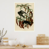 Viskool Poster (Keuken)
