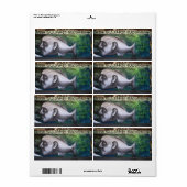 viskop etiket (Full Sheet)