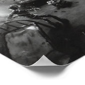 viskop poster (Hoek)