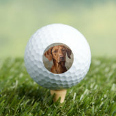Visla Golfballen (Insitu Shirt)