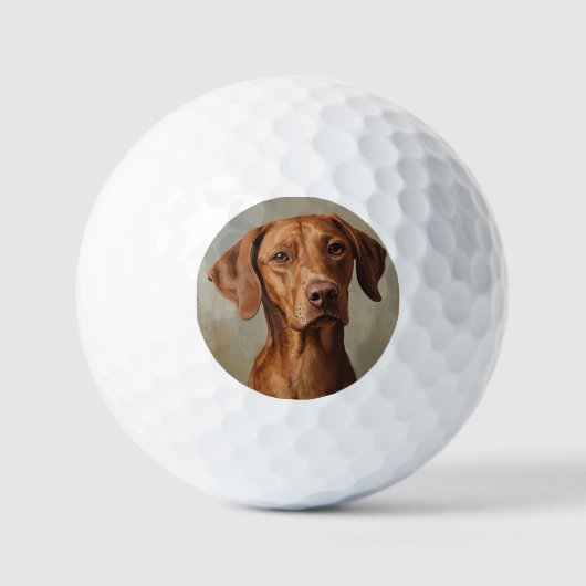Visla Golfballen (Voorkant)