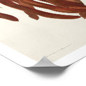 Vismijn door het Poster Audubon (Hoek)