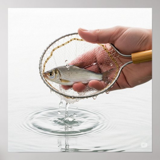 Visnetgrafiek Poster (Voorkant)