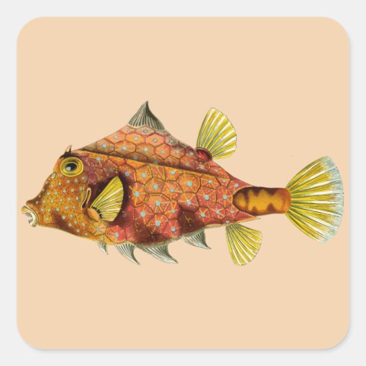 visomloop past me stickers aan (Voorkant)