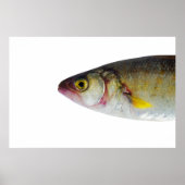 Visontwerp Poster (Voorkant)