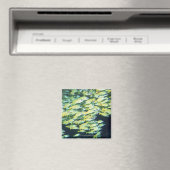 Visschool Magneet (Insitu (Vaatwasser))