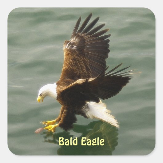 Vissen Bald Eagle Motivatie Sticker Set (Voorkant)