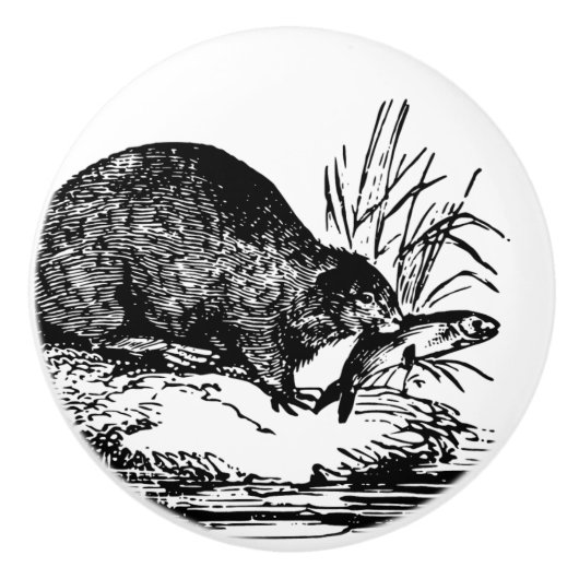 vissen Beaver home decor knop (Voorkant)