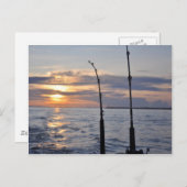 Vissen! Briefkaart (Voorkant / Achterkant)