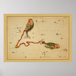 Vissen De Vis - Oud Tecken van de Dierenriem Afbee Poster