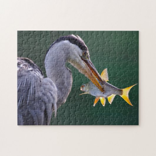 Vissen Heron Puzzle Legpuzzel (Horizontaal)