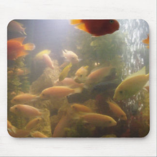 Vissen in een viskastenmousepad muismat