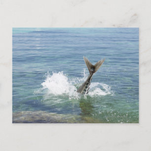 Vissen in het zee briefkaart