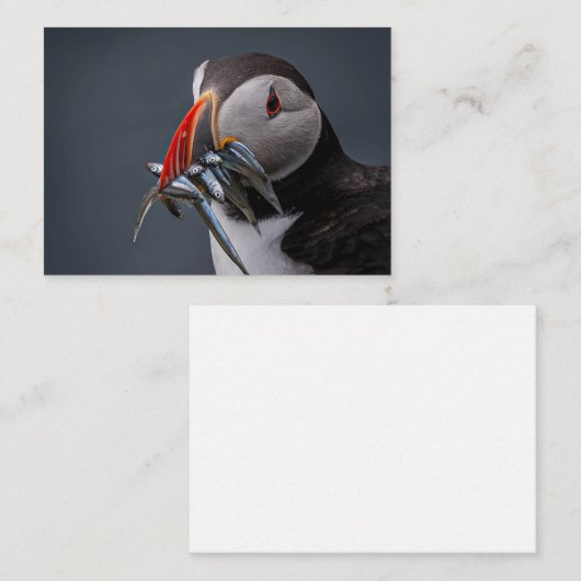 Vissen Notitiekaartje (Voorkant / Achterkant)