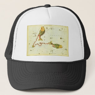 Vissen Vis, Antieke Constellatie Urania's Spiegel Trucker Pet