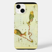 Vissen Vis,  sterrenbeeld Urania's Mirror Case-Mate iPhone Case (Achterkant)