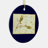 Vissen Vis,  sterrenbeeld Urania's Mirror Keramisch Ornament (Rechts)