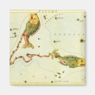 Vissen Vis, sterrenbeeld Urania's Mirror Magneet