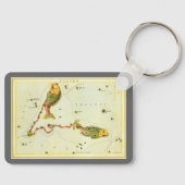 Vissen Vis,  sterrenbeeld Urania's Mirror Sleutelhanger (Voorkant)