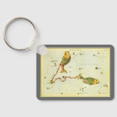 Vissen Vis,  sterrenbeeld Urania's Mirror Sleutelhanger (Achterkant)
