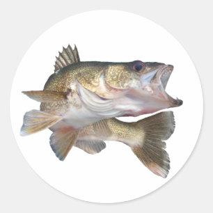 Vissen Walleye Ronde Sticker