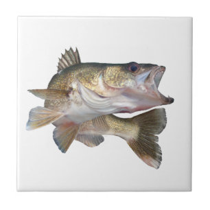 Vissen Walleye Tegeltje