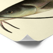  vissen, zeezoogdieren poster (Hoek)